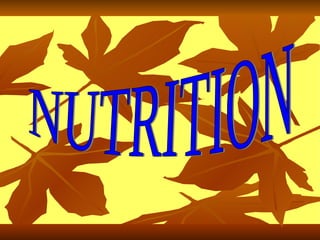 NUTRITION 