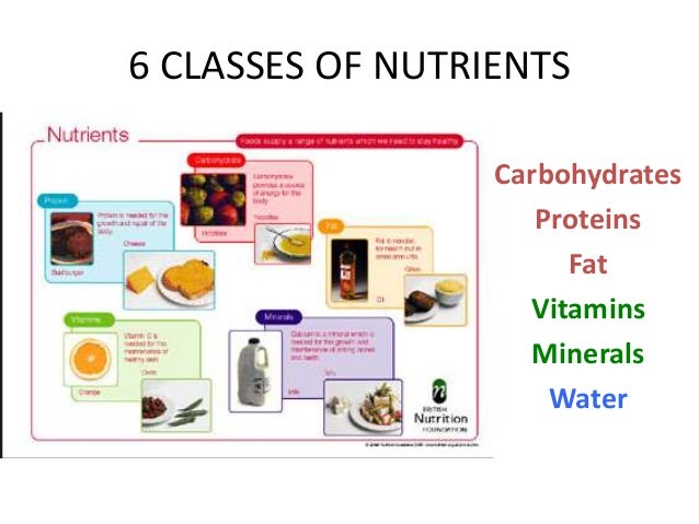 6 classes of nutrients