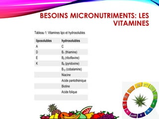 BESOINS MICRONUTRIMENTS: LES
VITAMINES
 