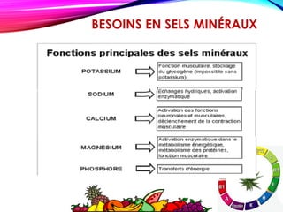 BESOINS EN SELS MINÉRAUX
 