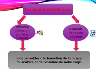 Les aliments bâtisseurs
Aliments
riches en
protides
animale
Aliments
riches en
calcium
indispensables à la formation de la masse
musculaire et de l’ossature de notre corps
 