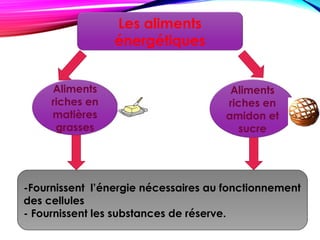 Les aliments
énergétiques
Aliments
riches en
matières
grasses
Aliments
riches en
amidon et
sucre
-Fournissent l’énergie nécessaires au fonctionnement
des cellules
- Fournissent les substances de réserve.
 