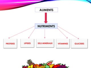 ALIMENTS
NUTRIMENTS
PROTIDES LIPIDES GLUCIDESVITAMINESSELS MINERAUX
 