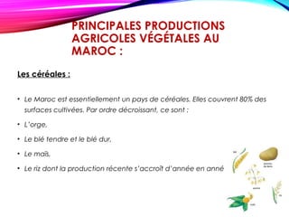 PRINCIPALES PRODUCTIONS
AGRICOLES VÉGÉTALES AU
MAROC :
Les céréales :
• Le Maroc est essentiellement un pays de céréales. Elles couvrent 80% des
surfaces cultivées. Par ordre décroissant, ce sont :
• L’orge,
• Le blé tendre et le blé dur,
• Le maïs,
• Le riz dont la production récente s’accroît d’année en année.
 