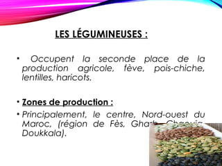 LES LÉGUMINEUSES :
• Occupent la seconde place de la
production agricole, fève, pois-chiche,
lentilles, haricots.
• Zones de production :
• Principalement, le centre, Nord-ouest du
Maroc, (région de Fès, Gharb, Chaouia,
Doukkala).
 