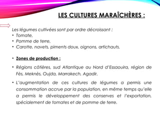 LES CULTURES MARAÎCHÈRES :
Les légumes cultivées sont par ordre décroissant :
• Tomate,
• Pomme de terre,
• Carotte, navets, piments doux, oignons, artichauts.
• Zones de production :
• Régions côtières, sud Atlantique au Nord d’Essaouira, région de
Fès, Meknès, Oujda, Marrakech, Agadir.
• L’augmentation de ces cultures de légumes a permis une
consommation accrue par la population, en même temps qu’elle
a permis le développement des conserves et l’exportation,
spécialement de tomates et de pomme de terre.
 