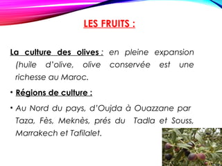 LES FRUITS :
La culture des olives : en pleine expansion
(huile d’olive, olive conservée est une
richesse au Maroc.
• Régions de culture :
• Au Nord du pays, d’Oujda à Ouazzane par
Taza, Fès, Meknès, prés du Tadla et Souss,
Marrakech et Tafilalet.
 