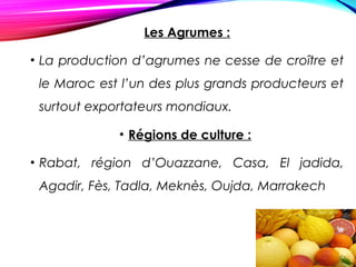 Les Agrumes :
• La production d’agrumes ne cesse de croître et
le Maroc est l’un des plus grands producteurs et
surtout exportateurs mondiaux.
• Régions de culture :
• Rabat, région d’Ouazzane, Casa, El jadida,
Agadir, Fès, Tadla, Meknès, Oujda, Marrakech
 