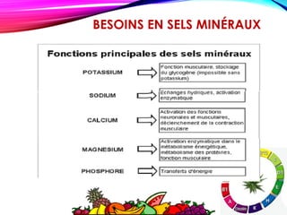Des sels minéraux - Conseils de nutrition