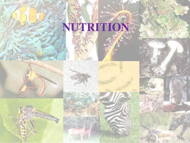 Austin Journal of Nutrition and Food sciences