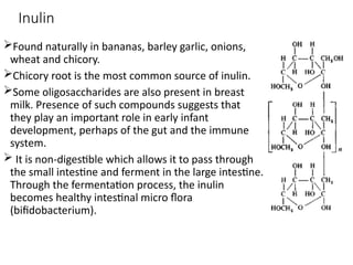 Inulin Food Sources Comprehensive Overview of Nutraceuticals and Functional Foods for ...
