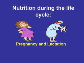 Nutrition during the life
cycle:
Pregnancy and Lactation
 