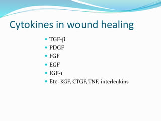 Cytokines in wound healing
 TGF-β
 PDGF
 FGF
 EGF
 IGF-1
 Etc. KGF, CTGF, TNF, interleukins
 