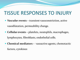 TISSUE RESPONSES TO INJURY
 Vascular events – transient vasoconstriction, active
vasodilatation, permeability change.
 Cellular events – platelets, neutophils, macrophages,
lymphocytes, fibroblasts, endothelial cells.
 Chemical mediators – vasoactive agents, chemotactic
factors, cytokines
 