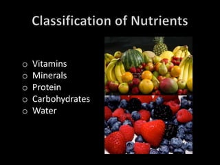 o Vitamins
o Minerals
o Protein
o Carbohydrates
o Water
Sugars
Starches
Cellulose Fats
 