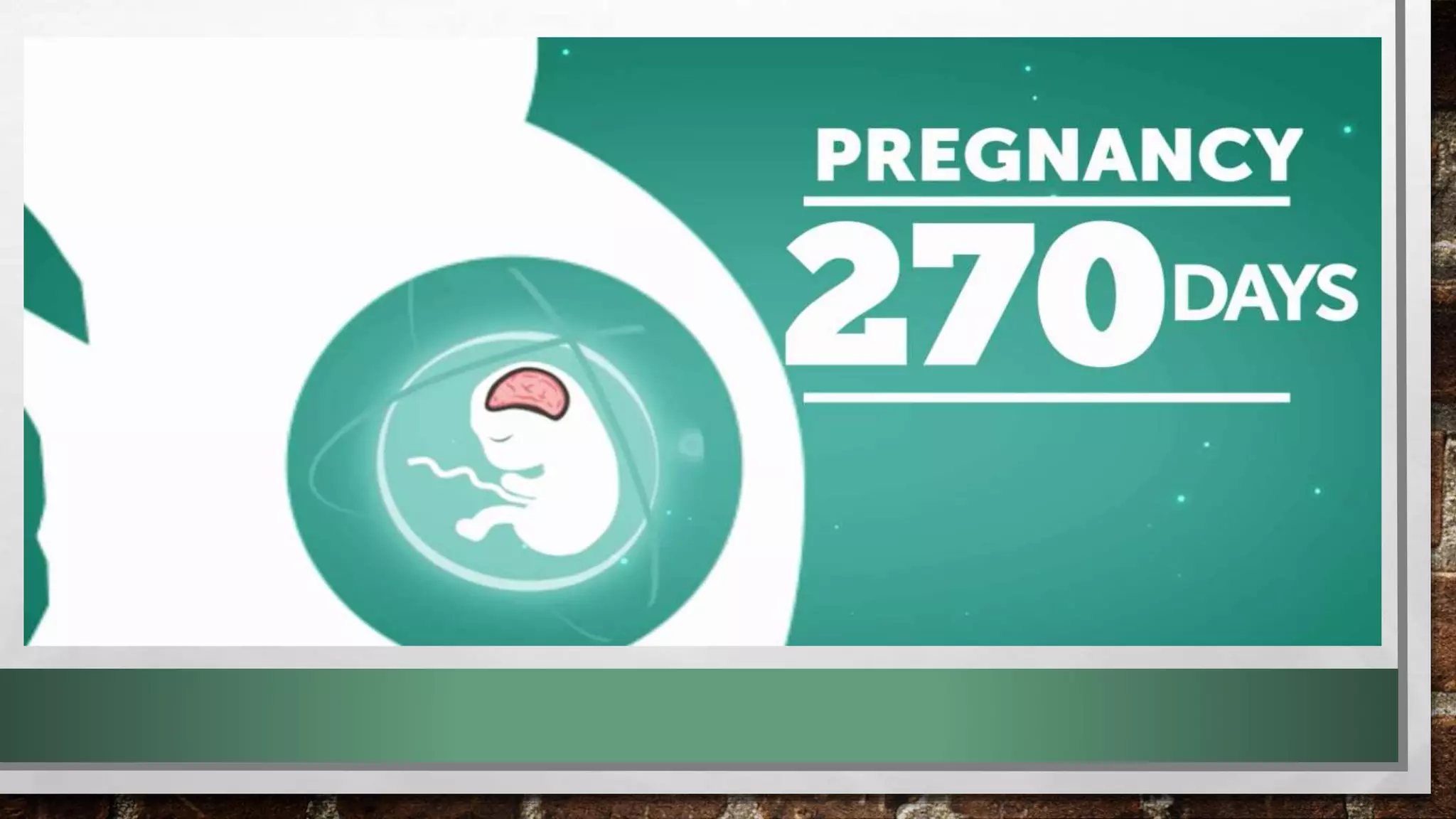 First 1000 days ni baby pahalagahan para sa malusog na kinabukasan pptx