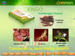 ENGO
                                                        Kandungan Utama:

                                                                             Cordyceps
                                                                              sinensis




                    Ganoderma                           Ginseng               Rhinacanthus
                                                                                nasutus
           Campuran 14 Jenis Herba terpilih
                                                         Aloe                Longan   Lotus    Black
Antrodia   Walnut    Hawthorn   Black Bean   Honeydew             Rhodiola
                                                         Vera                                 Sesame
 