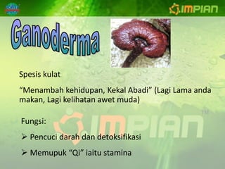 Spesis kulat
“Menambah kehidupan, Kekal Abadi” (Lagi Lama anda
makan, Lagi kelihatan awet muda)

Fungsi:
 Pencuci darah dan detoksifikasi
 Memupuk “Qi” iaitu stamina
 