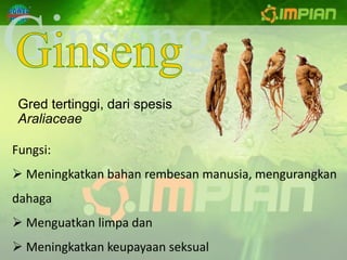 Gred tertinggi, dari spesis
 Araliaceae

Fungsi:
 Meningkatkan bahan rembesan manusia, mengurangkan
dahaga
 Menguatkan limpa dan
 Meningkatkan keupayaan seksual
 