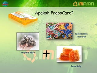 Apakah PropoCare?



                                     Laktobasilus
                                      Probiotik




Propolis Hijau
                    +
                                Royal Jelly
 