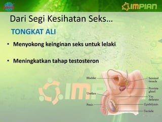 Dari Segi Kesihatan Seks…
 TONGKAT ALI
• Menyokong keinginan seks untuk lelaki

• Meningkatkan tahap testosteron
 