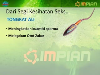 Dari Segi Kesihatan Seks…
TONGKAT ALI
• Meningkatkan kuantiti sperma
• Melegakan Otot Zakar
 
