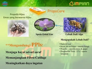 PropoCare
     Propolis Hijau
Emas yang berwarna hijau




                           Spesis Orkid Liar          Lebah Itali Alps

                                                Mengapakah Lebah Itali?

 **Mengandungi PPls!
                                               • Rajin & kuat
                                               • Royal Jeli & Polen ~ musim bunga
                                               • Propolis ~ musim panas & gugur
                                               • Penghasilan Telur: 21% > spesis
 Menjaga hayat sel-sel saraf                     tempatan

 Memanjangkan Fibro-Catilage
 Meningkatkan daya ingatan
 