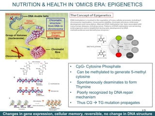 Nutrition Beyond Calories & the Role Trees can play