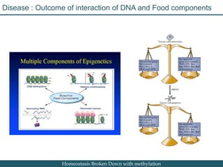 Nutrition Beyond Calories & the Role Trees can play