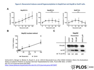 Nutrition Beyond Calories & the Role Trees can play