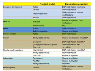 Nutrition Beyond Calories & the Role Trees can play