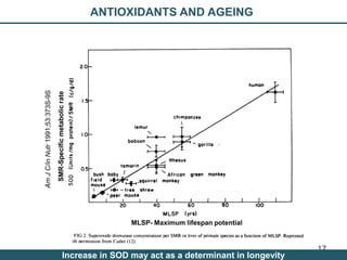 Nutrition Beyond Calories & the Role Trees can play
