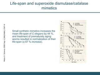 Nutrition Beyond Calories & the Role Trees can play