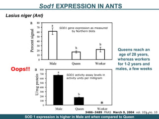 Nutrition Beyond Calories & the Role Trees can play
