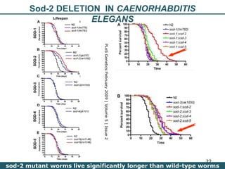 Nutrition Beyond Calories & the Role Trees can play