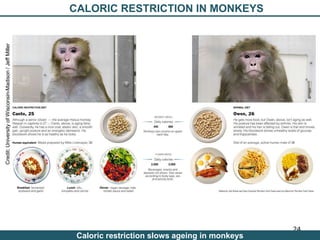 Nutrition Beyond Calories & the Role Trees can play