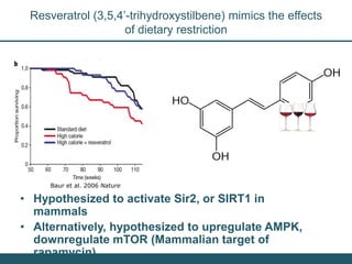 Nutrition Beyond Calories & the Role Trees can play