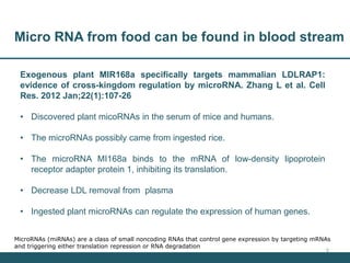 Nutrition Beyond Calories & the Role Trees can play