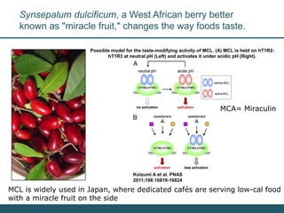 Nutrition Beyond Calories & the Role Trees can play