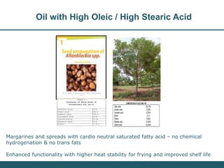 Nutrition Beyond Calories & the Role Trees can play