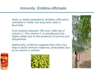 Nutrition Beyond Calories & the Role Trees can play