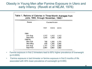 Nutrition Beyond Calories & the Role Trees can play