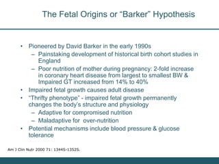 Nutrition Beyond Calories & the Role Trees can play