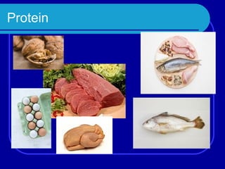 Protein
 