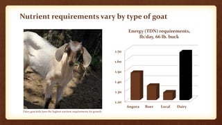 Nutrition for Small-Scale Goat Farms | PPTX | Veterinary Medicine | Pets