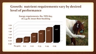 Nutrition for Small-Scale Goat Farms | PPTX | Veterinary Medicine | Pets