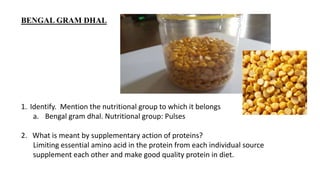 BENGAL GRAM DHAL
1. Identify. Mention the nutritional group to which it belongs
a. Bengal gram dhal. Nutritional group: Pulses
2. What is meant by supplementary action of proteins?
Limiting essential amino acid in the protein from each individual source
supplement each other and make good quality protein in diet.
 