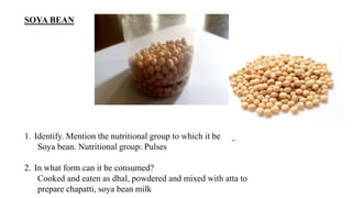 SOYA BEAN
1. Identify. Mention the nutritional group to which it belongs.
Soya bean. Nutritional group: Pulses
2. In what form can it be consumed?
Cooked and eaten as dhal, powdered and mixed with atta to
prepare chapatti, soya bean milk
 