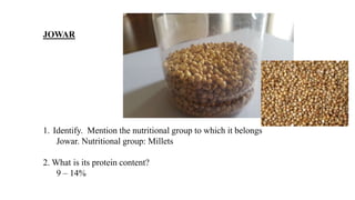 JOWAR
1. Identify. Mention the nutritional group to which it belongs
Jowar. Nutritional group: Millets
2. What is its protein content?
9 – 14%
 