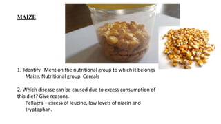 MAIZE
1. Identify. Mention the nutritional group to which it belongs
Maize. Nutritional group: Cereals
2. Which disease can be caused due to excess consumption of
this diet? Give reasons.
Pellagra – excess of leucine, low levels of niacin and
tryptophan.
 
